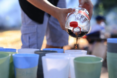 IMG_3542