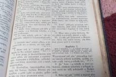 Biblia12