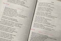 Biblia15