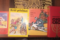 Biblia17
