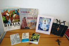 Biblia23