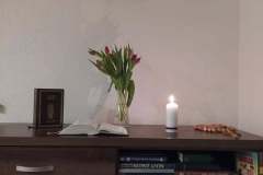 Biblia25