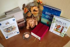 Biblia26