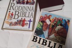 Biblia28