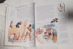 Biblia29