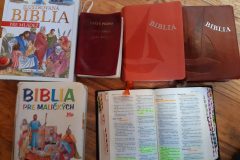 Biblia39-scaled