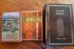 Biblia40-scaled